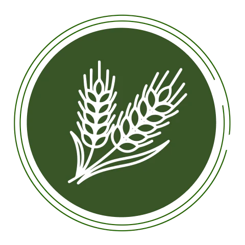 Protein & Fiber Needs